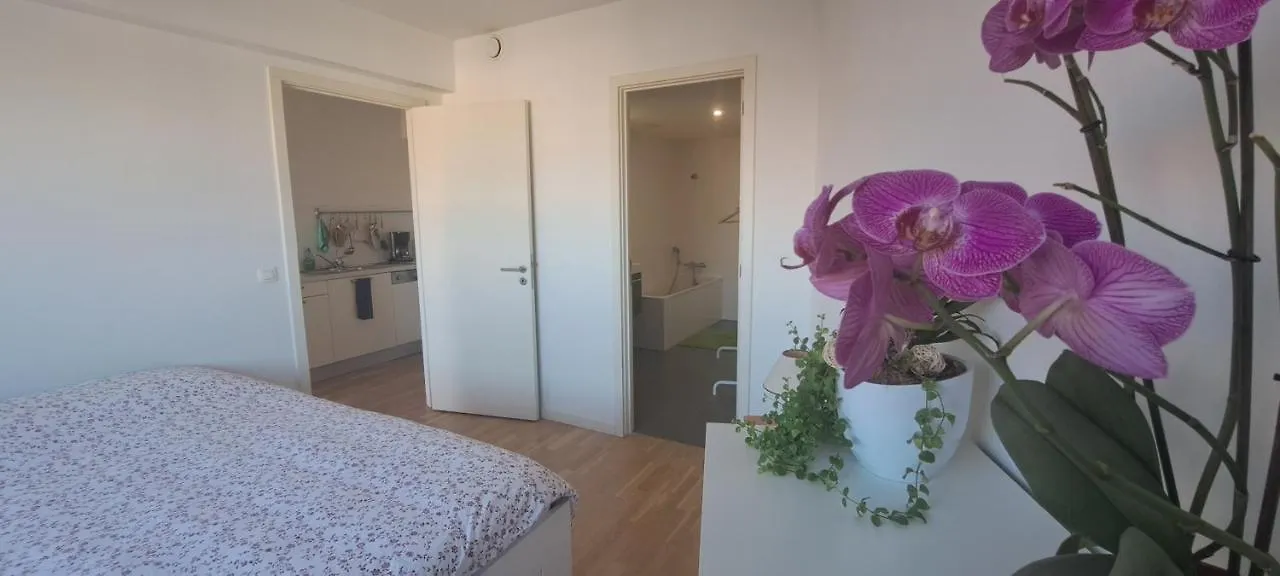 Brusilia Parc Apartment Brussels Belgium